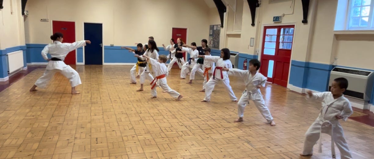 Botley dojo, karate class. Ignite enthusiasm in students of all ages. Explore focus, fitness and self-discovery through FREE trial lessons. Book today! Botley dojo, Karate, martial arts. Children, adults, free trial, self-defence.